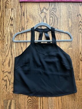 Parker Black Halter Crop Top with Hook n Eye Closure